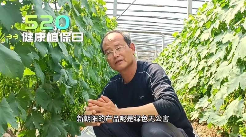 520健康植保日——擁抱綠色農(nóng)業(yè)，我們在行動